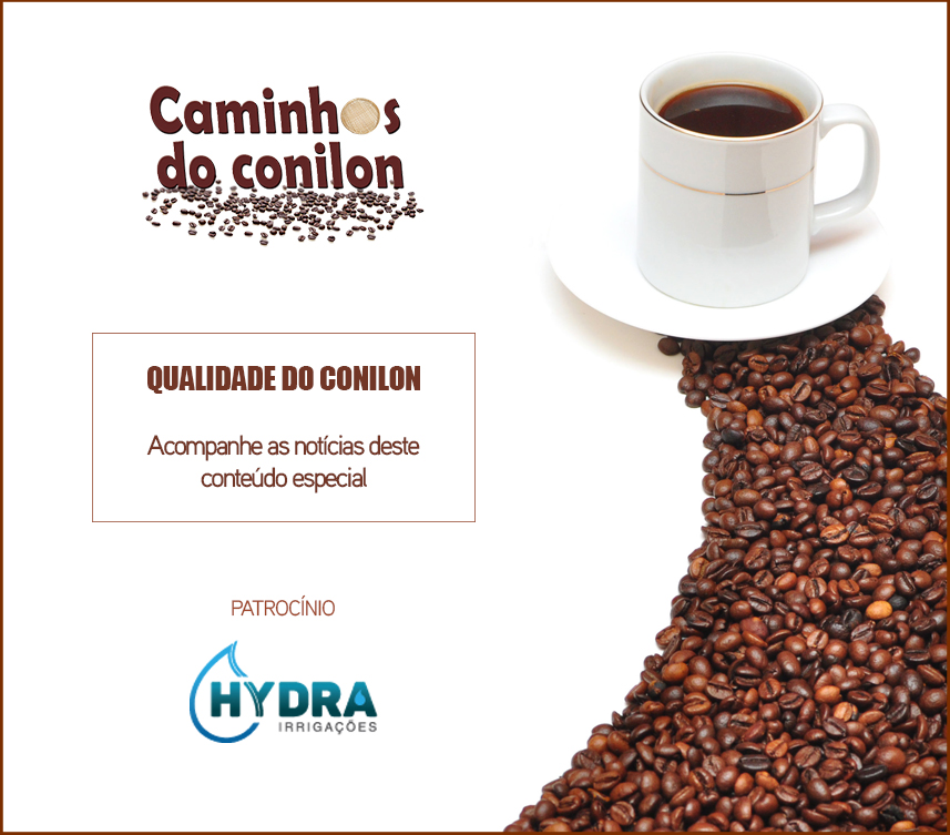 Café Conilon do Plantio à Colheita