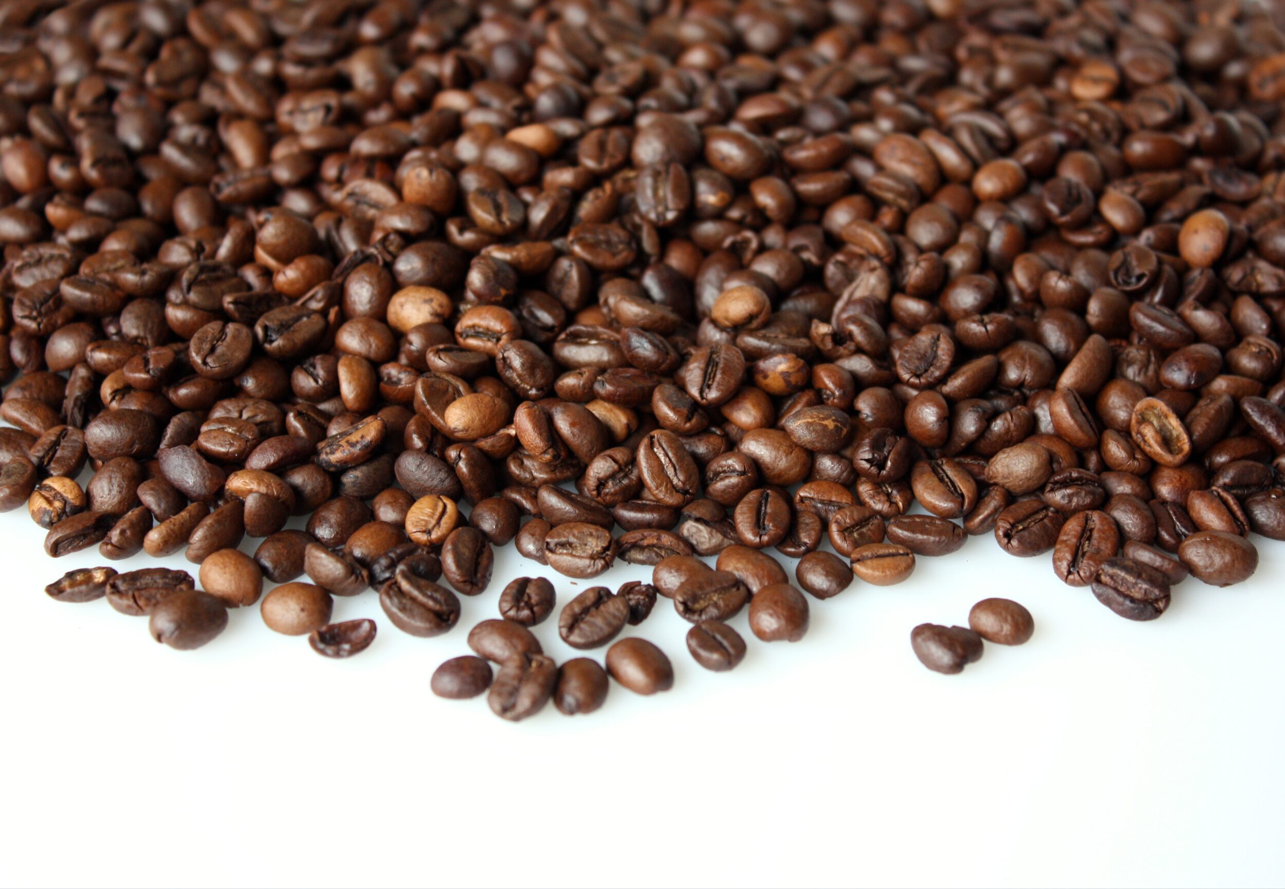 Café especial: produtores de conilon e robusta podem se associar à BSCA
