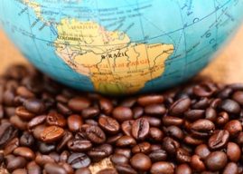 EUA lideram importações dos Cafés do Brasil com a compra de 7,78 milhões de sacas