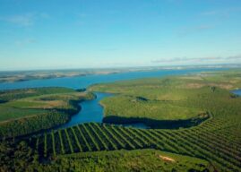 Nova rota turística convida a conhecer e experimentar o que de melhor é produzido com o cacau